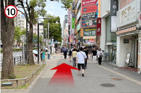 地上にでてきたらひたすら真っすぐです