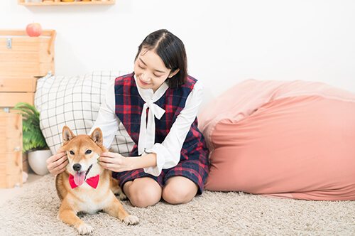 他人の犬に噛（か）まれてケガをした！ 治療費や慰謝料の請求は？