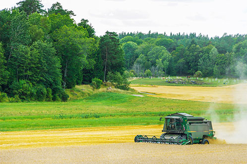 農地法に違反したらどのような罪に問われるのか？