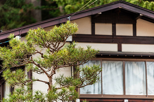 庭木が原因で隣家とのトラブルに！ 勝手に枝を切ることは違法！？