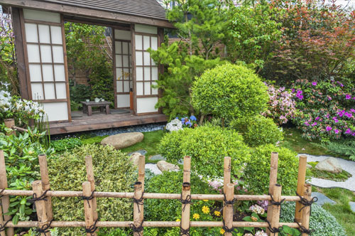 庭木が原因で隣家とのトラブルに！ 弁護士に相談すべきケースとは