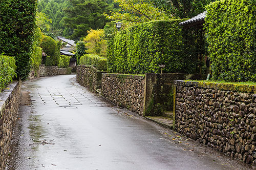 隣家の庭木がきっかけにトラブル発生！ 法的に適切な対応方法とは