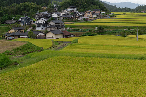 農地法の違反はどんな罪に？ 現状回復命令を出された場合の対処法