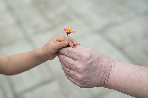 別れた夫の両親（祖父母）に孫の養育費を請求することはできる？