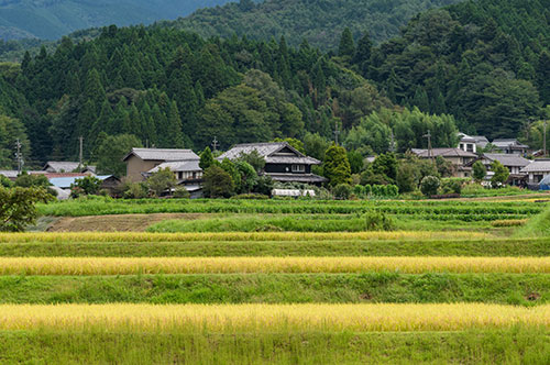 山林の相続における法律・相続税に関する注意点を解説
