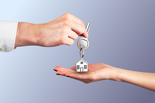 遺産分割協議の特別代理人：役割から選任方法、注意点を解説