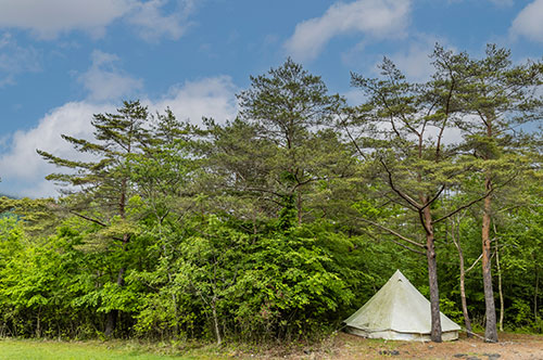 森林法とは？ 山の運営や購入に必須の法律知識を学ぼう