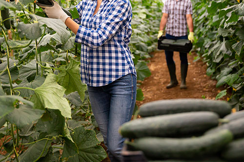 農家を営む夫婦が離婚するなら要注意！ 財産分与のポイントとは