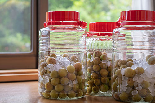 酒税法とはどんな法律？ 自家製のお酒は法律違反？