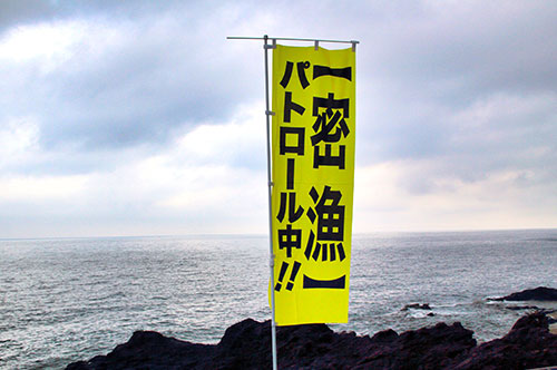 牡蠣やハマグリなどの貝を採ると密漁？ 漁業権など関係法令と罰則