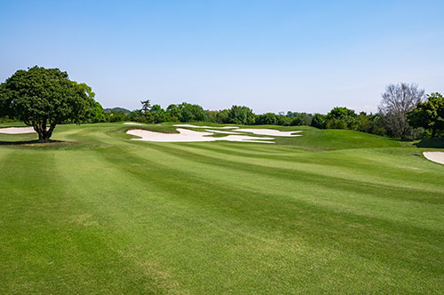 リゾート会員権の相続税評価のされ方は？ 注意点を解説