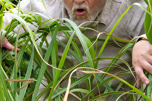 他人の土地に勝手に入ると何罪になる？