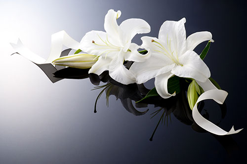 葬儀の方法を指定したい｜遺言書の作成は必要？ 法的効力はある？