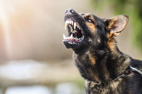 過失傷害罪とはどのような罪なのか：定義や構成要件を解説