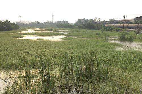 原野商法に遭ってしまった場合、できることはある？