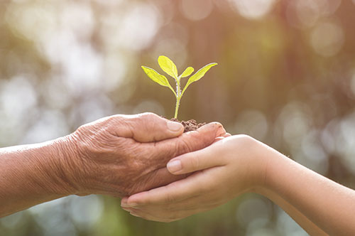 祖母の遺産分割は父死亡によってどうなる？ 数次相続・代襲相続とは
