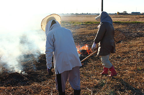 野焼きの何が違法？ 通報されたらどうなる？ 法律の定めとは