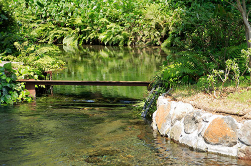 水源地詐欺とは？ だまされてしまったと気付いたときの対処法