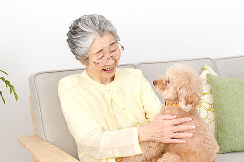 ペット信託とは？ 大切なペットを信頼できる人に託す仕組みと概要